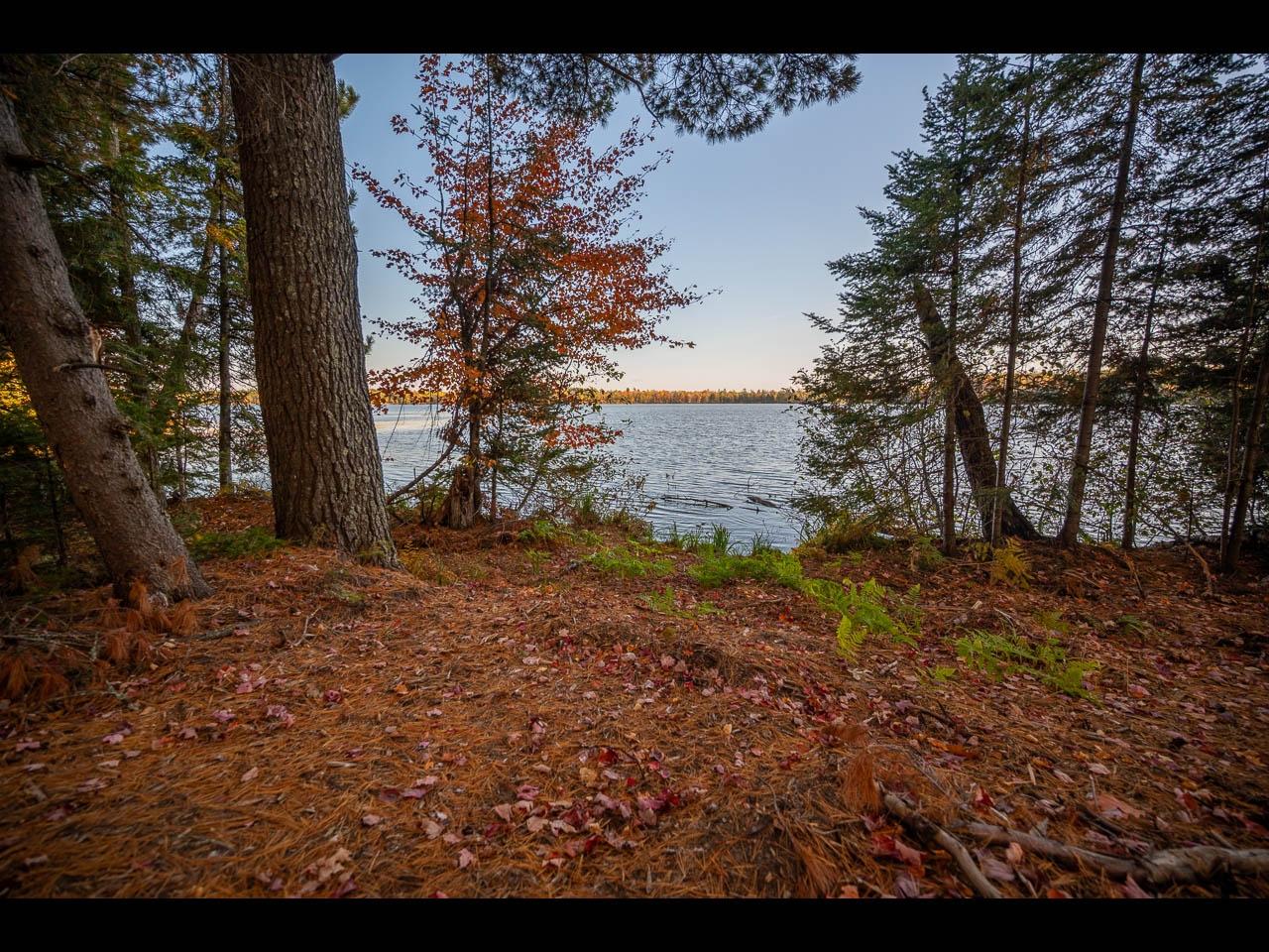 Clearwater Lake Property Lot 138 Clearwater Lake Tr Photo 11