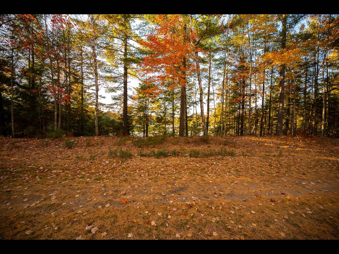 Clearwater Lake Property Lot 138 Clearwater Lake Tr Photo 12