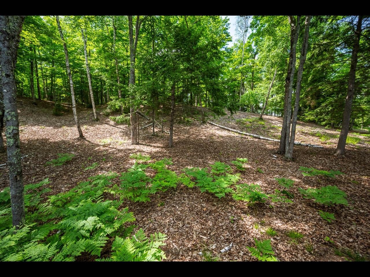Clearwater Lake Property Lot 138 Clearwater Lake Tr Photo 13