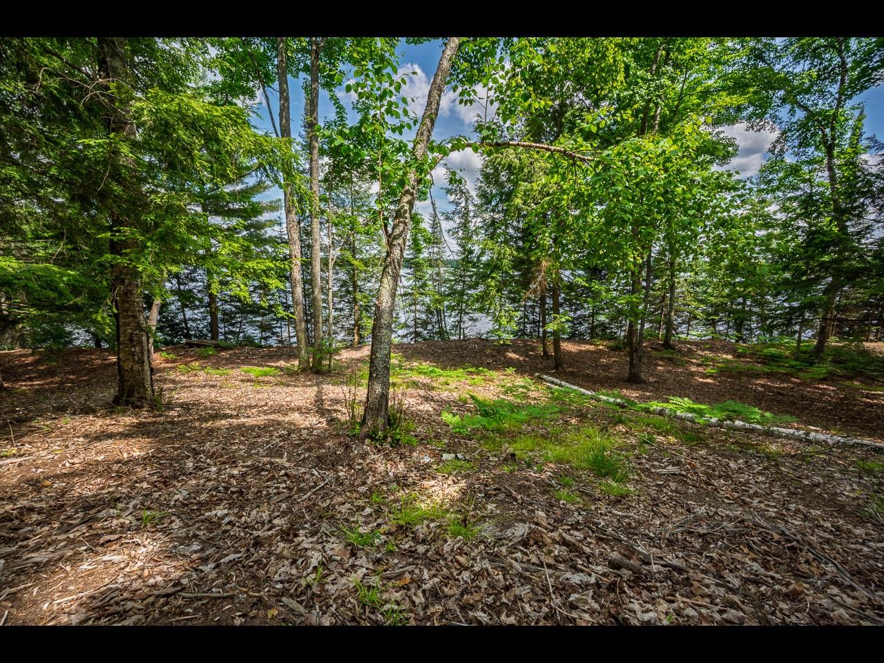Clearwater Lake Property Lot 138 Clearwater Lake Tr Photo 14