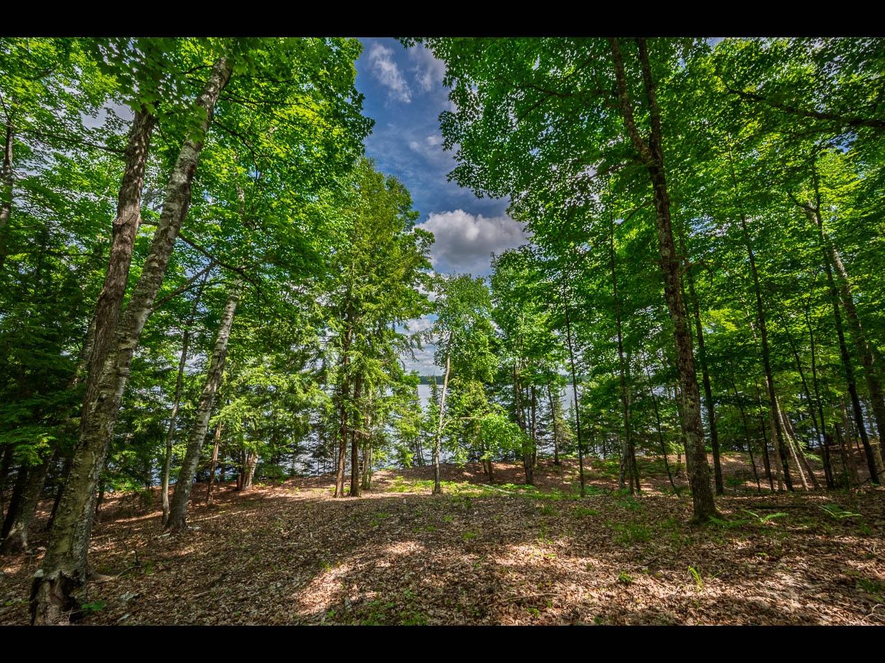 Clearwater Lake Property Lot 138 Clearwater Lake Tr Photo 16