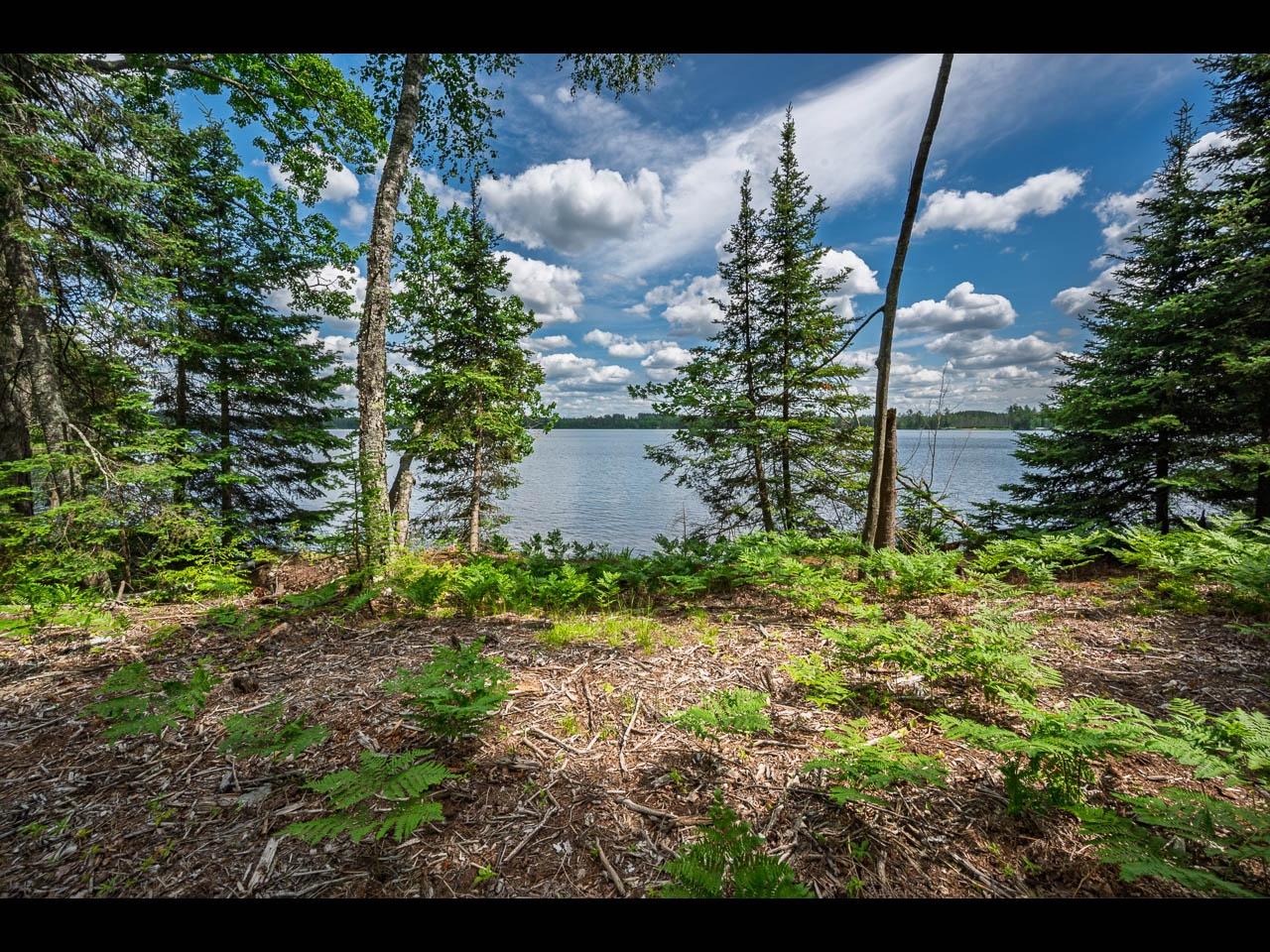 Clearwater Lake Property Lot 138 Clearwater Lake Tr Photo 3