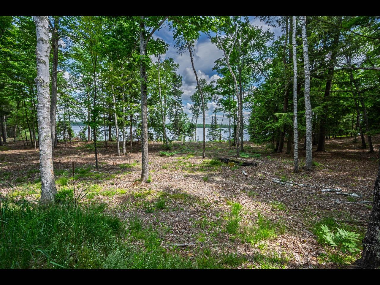 Clearwater Lake Property Lot 138 Clearwater Lake Tr Photo 4