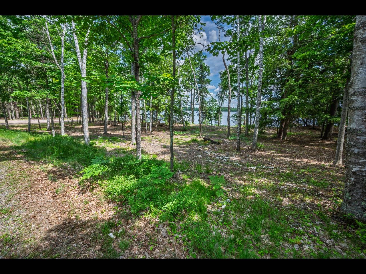 Clearwater Lake Property Lot 138 Clearwater Lake Tr Photo 5