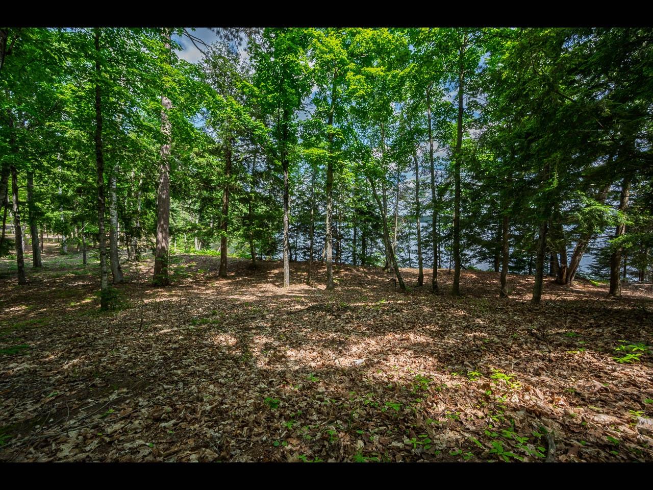 Clearwater Lake Property Lot 138 Clearwater Lake Tr Photo 6