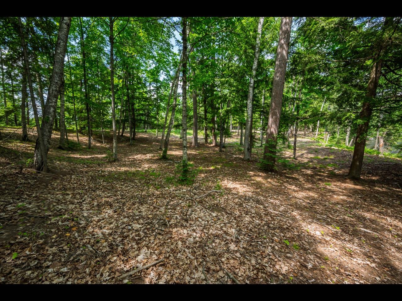 Clearwater Lake Property Lot 138 Clearwater Lake Tr Photo 7