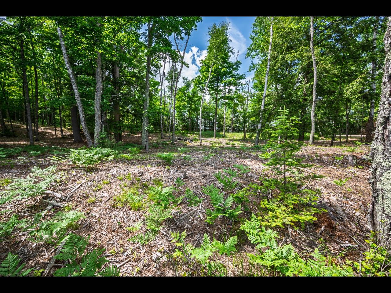 Clearwater Lake Property Lot 138 Clearwater Lake Tr Photo 8