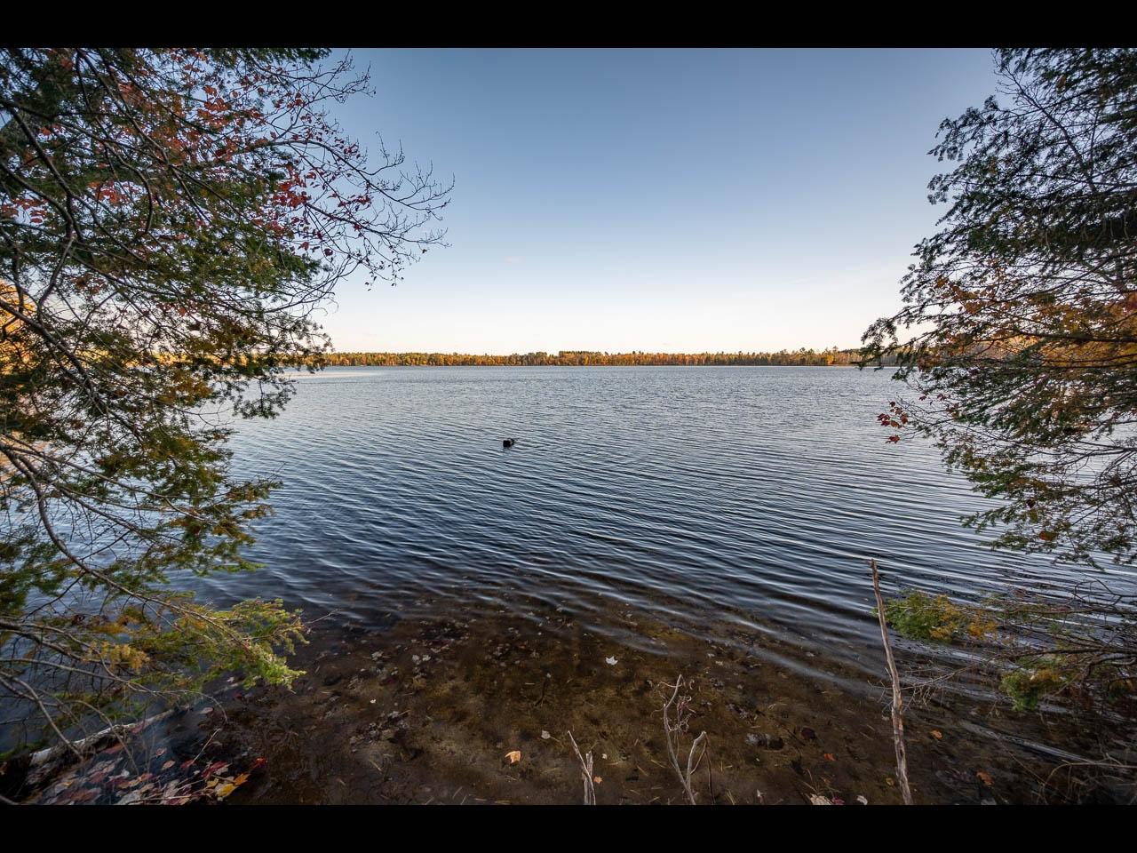 Clearwater Lake Property Lot 138 Clearwater Lake Tr Photo 9