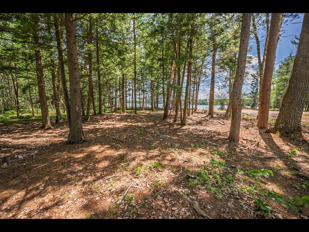 Clearwater Lake Property Lot 139 Clearwater Lake Tr Photo 3