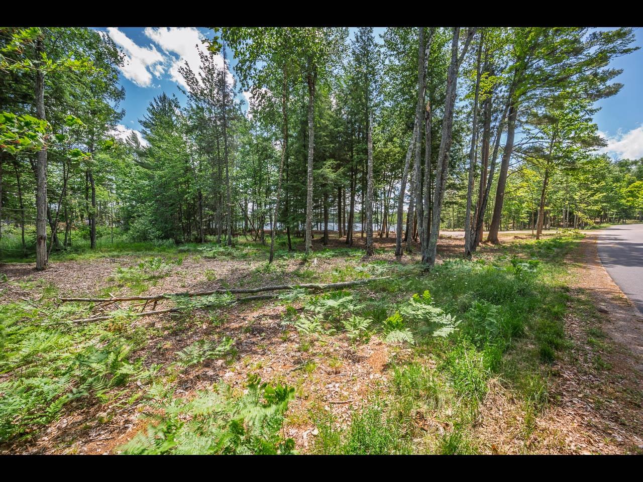 Clearwater Lake Property Lot 139 Clearwater Lake Tr Photo 9