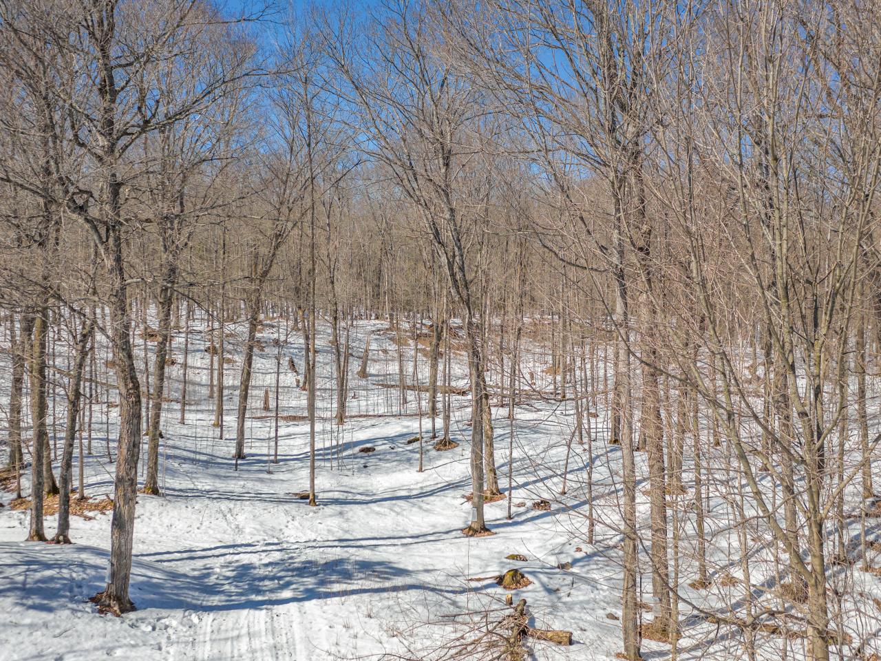 Picture 8 - Undocumented Lake Property 189594