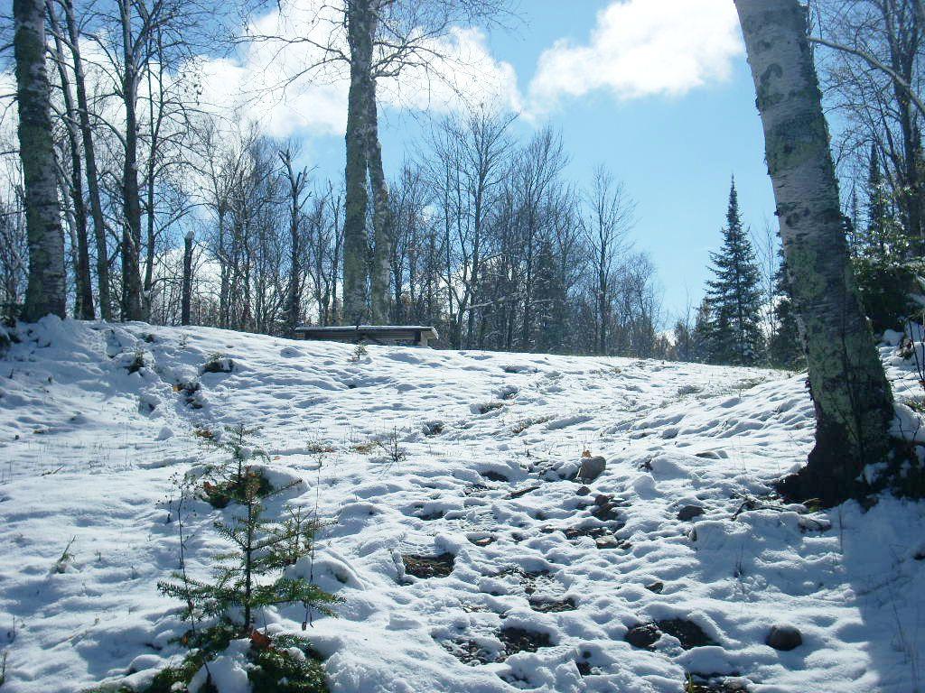 Picture 3 - Cedar Lake Property 190588