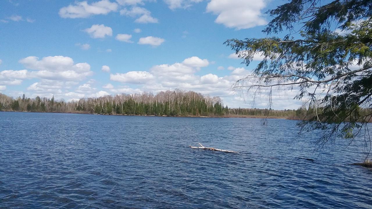 Picture 13 - Cedar Lake Property 190588