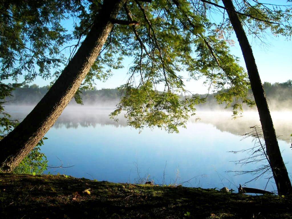 Picture 12 - Cedar Lake Property 190588