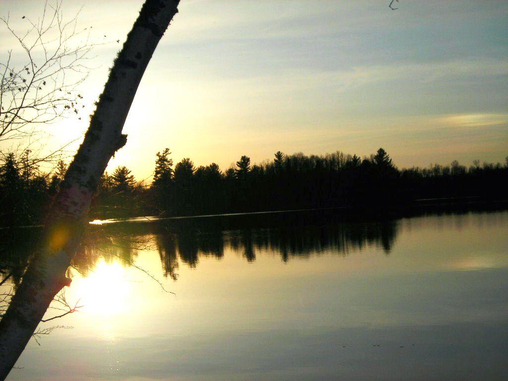 Picture 7 - Cedar Lake Property 190588