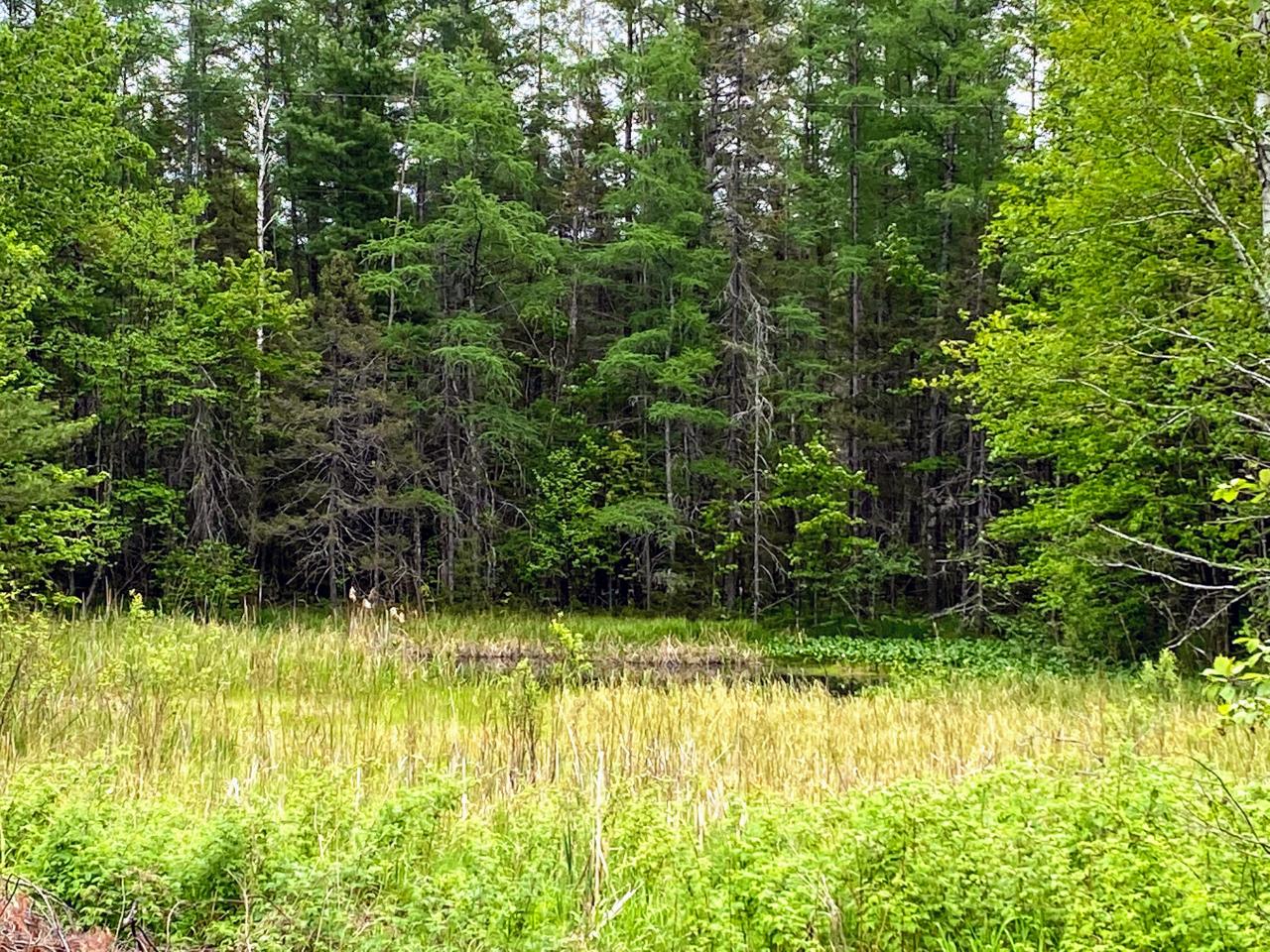 Picture 2 - Undocumented Lake Property 191267