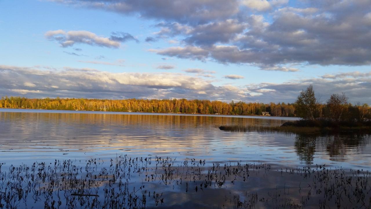 Picture 14 - Amber Lake Property 193603