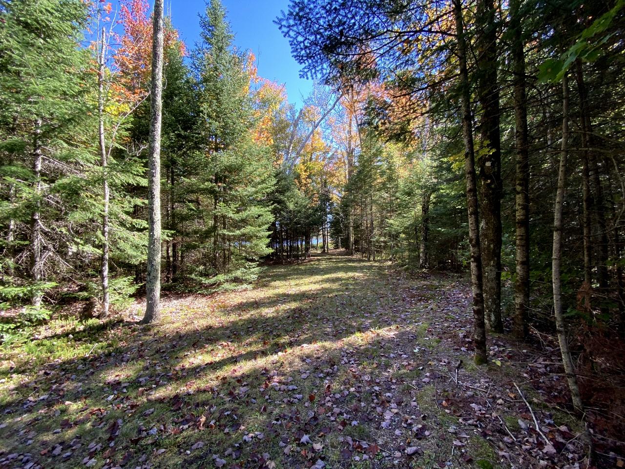 Picture 3 - Amber Lake Property 193603