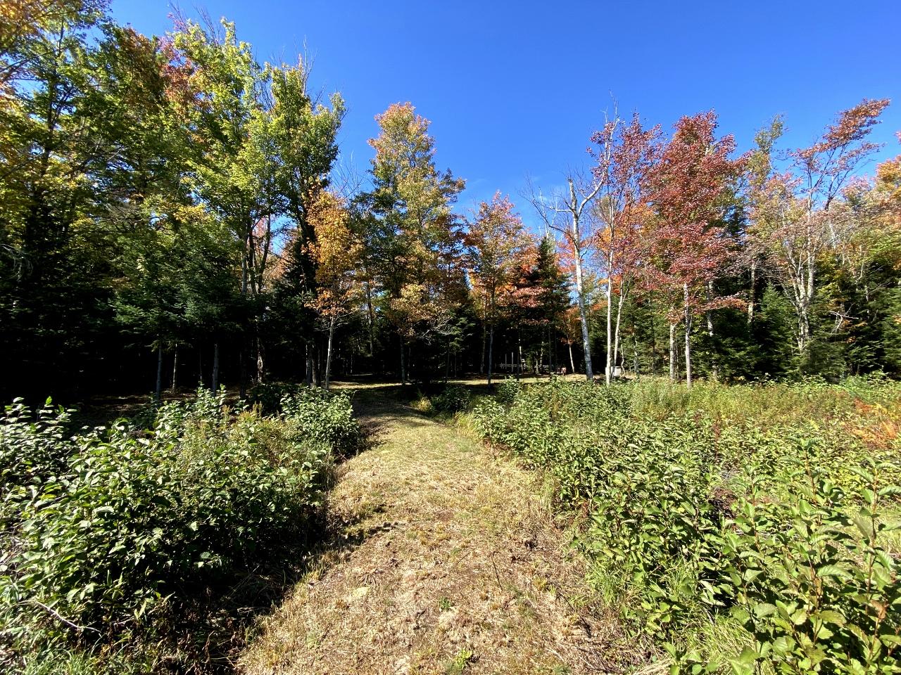 Picture 12 - Amber Lake Property 193603