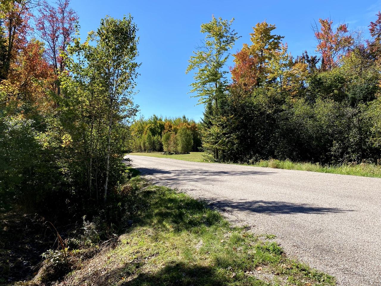 Picture 6 - Amber Lake Property 193603