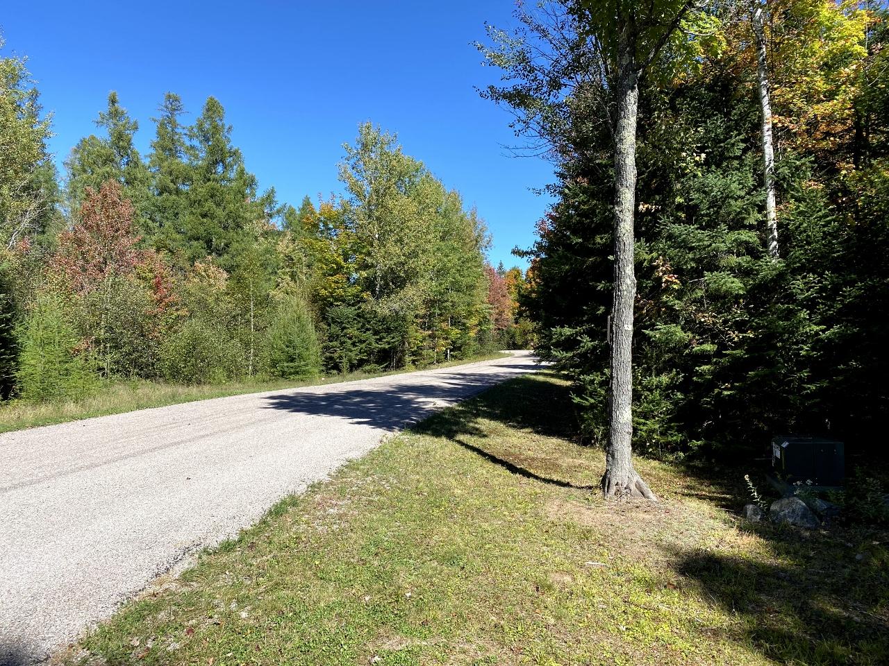 Picture 5 - Amber Lake Property 193603