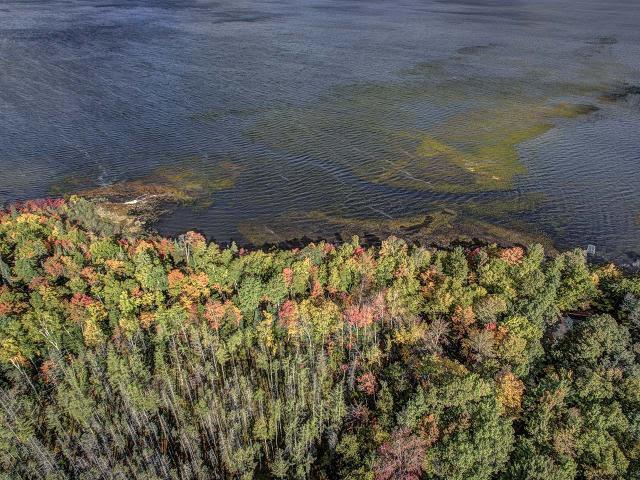 North Twin Lake Property ON Briggs Ln Photo 5