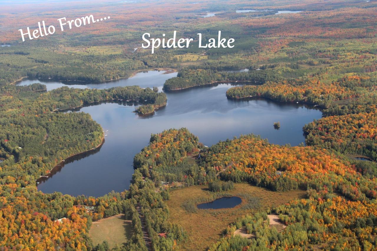Picture 57 - Spider Lake (M) Property 203534