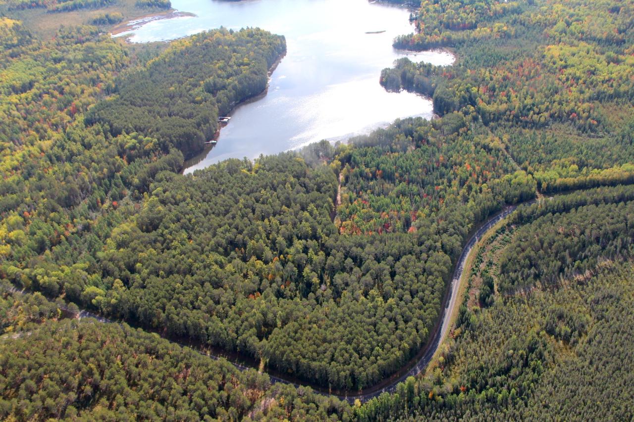 Picture 54 - Spider Lake (M) Property 203534