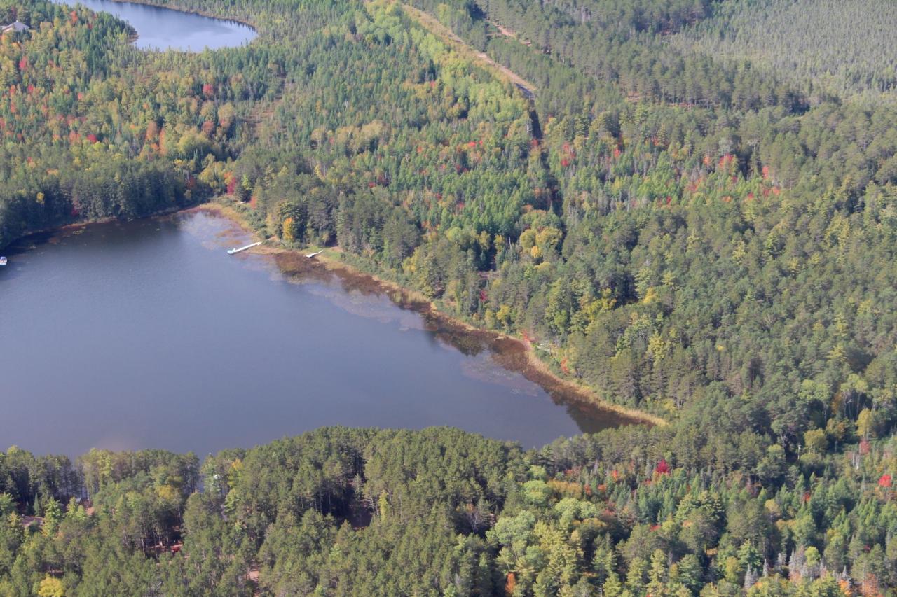 Picture 48 - Spider Lake (M) Property 203534