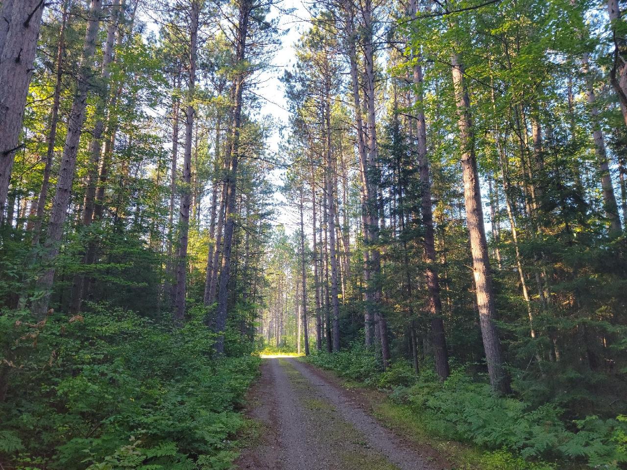 Picture 45 - Spider Lake (M) Property 203534