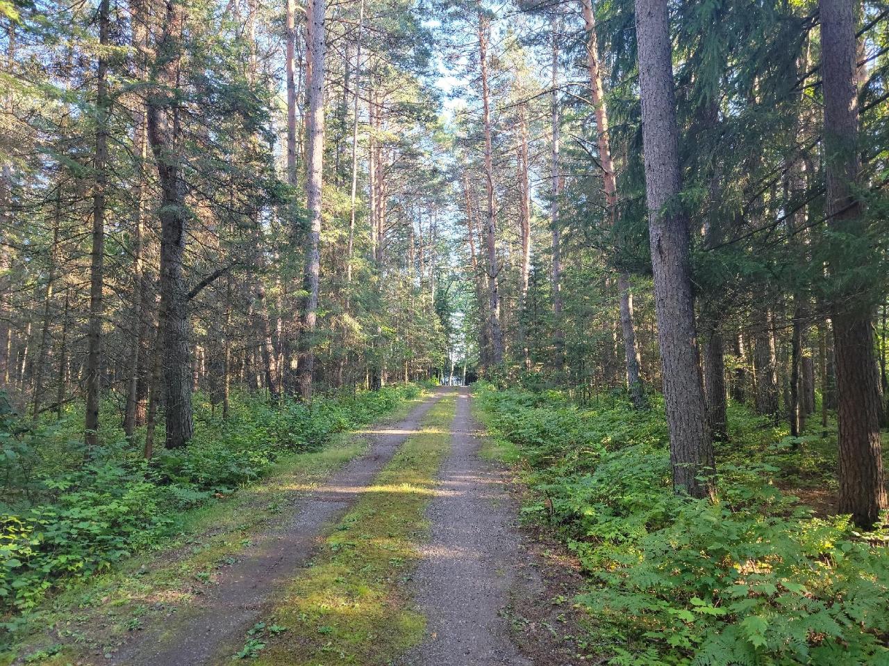 Picture 44 - Spider Lake (M) Property 203534