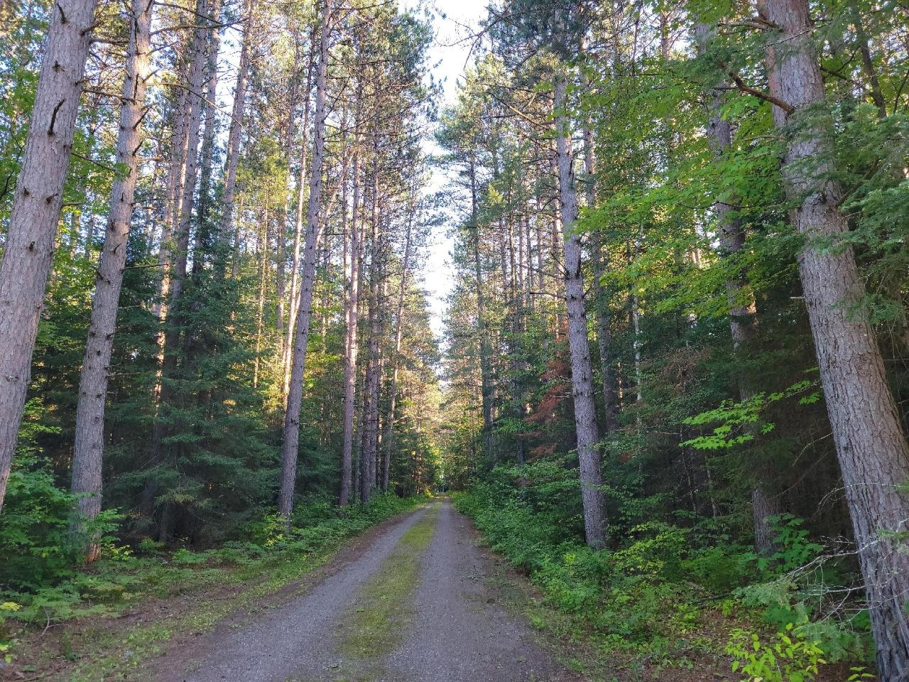 Picture 20 - Spider Lake (M) Property 203534