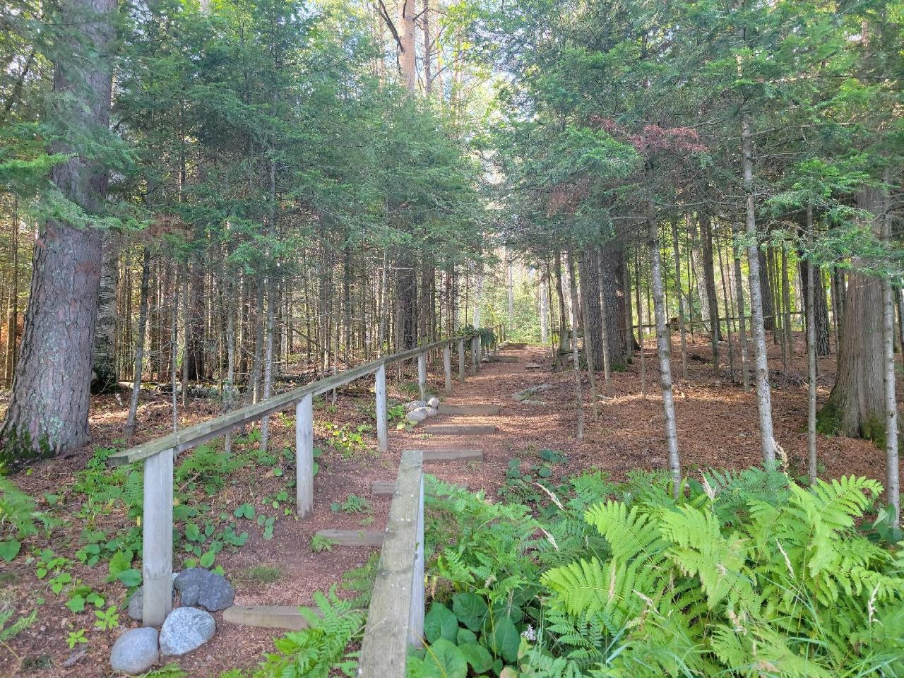 Picture 11 - Spider Lake (M) Property 203534