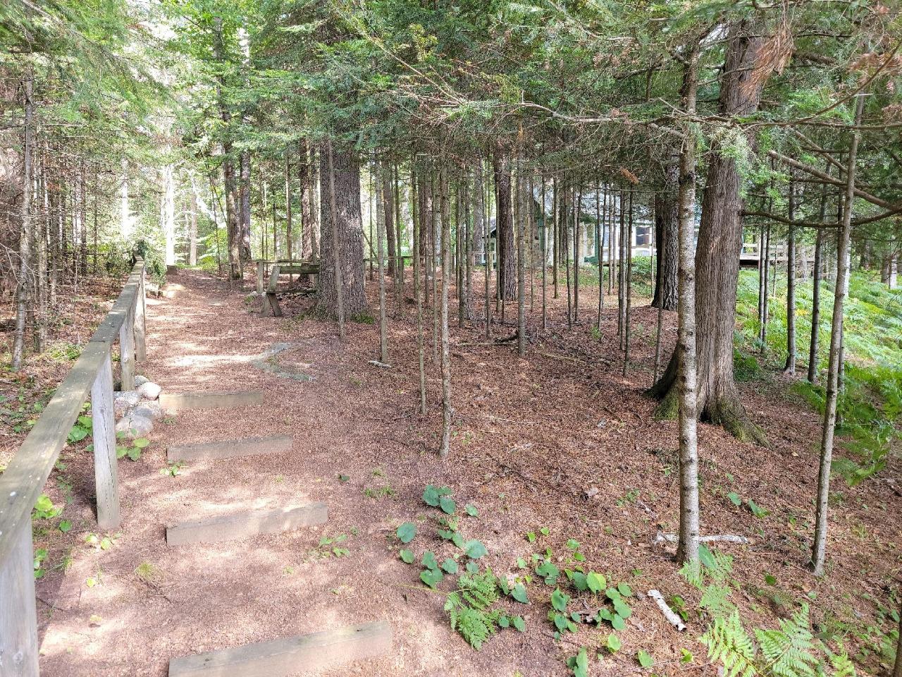 Picture 9 - Spider Lake (M) Property 203534