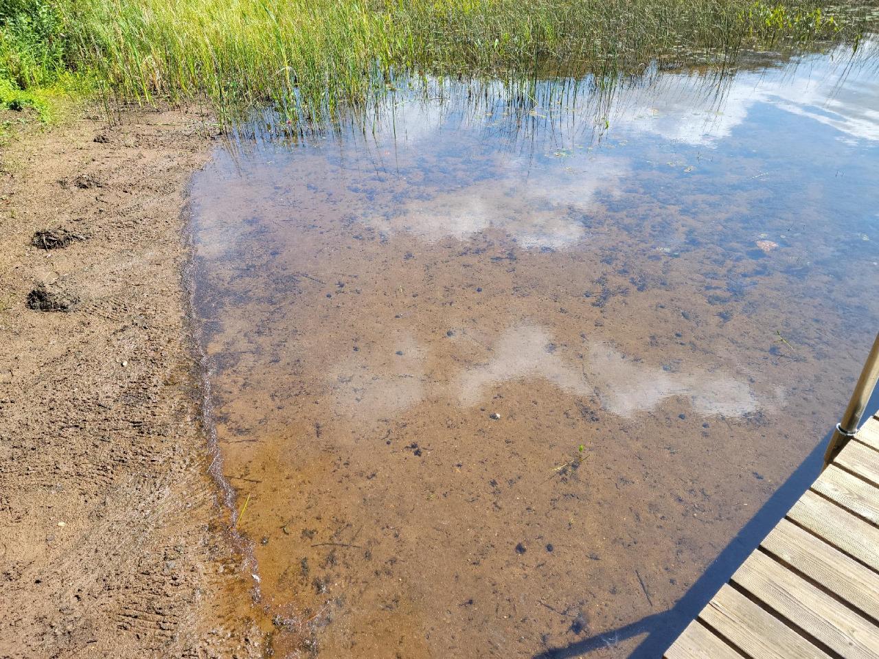 Picture 4 - Spider Lake (M) Property 203534