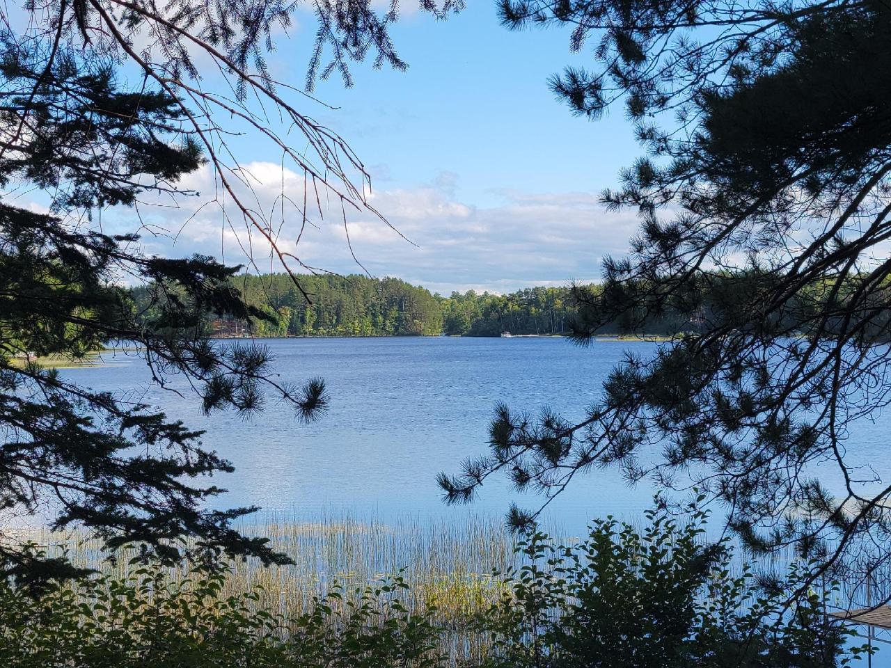 Picture 58 - Spider Lake (M) Property 203534