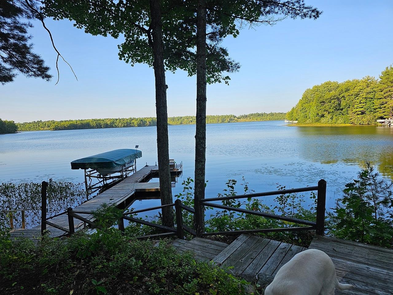 Picture 12 - Moss Lake Property 203633