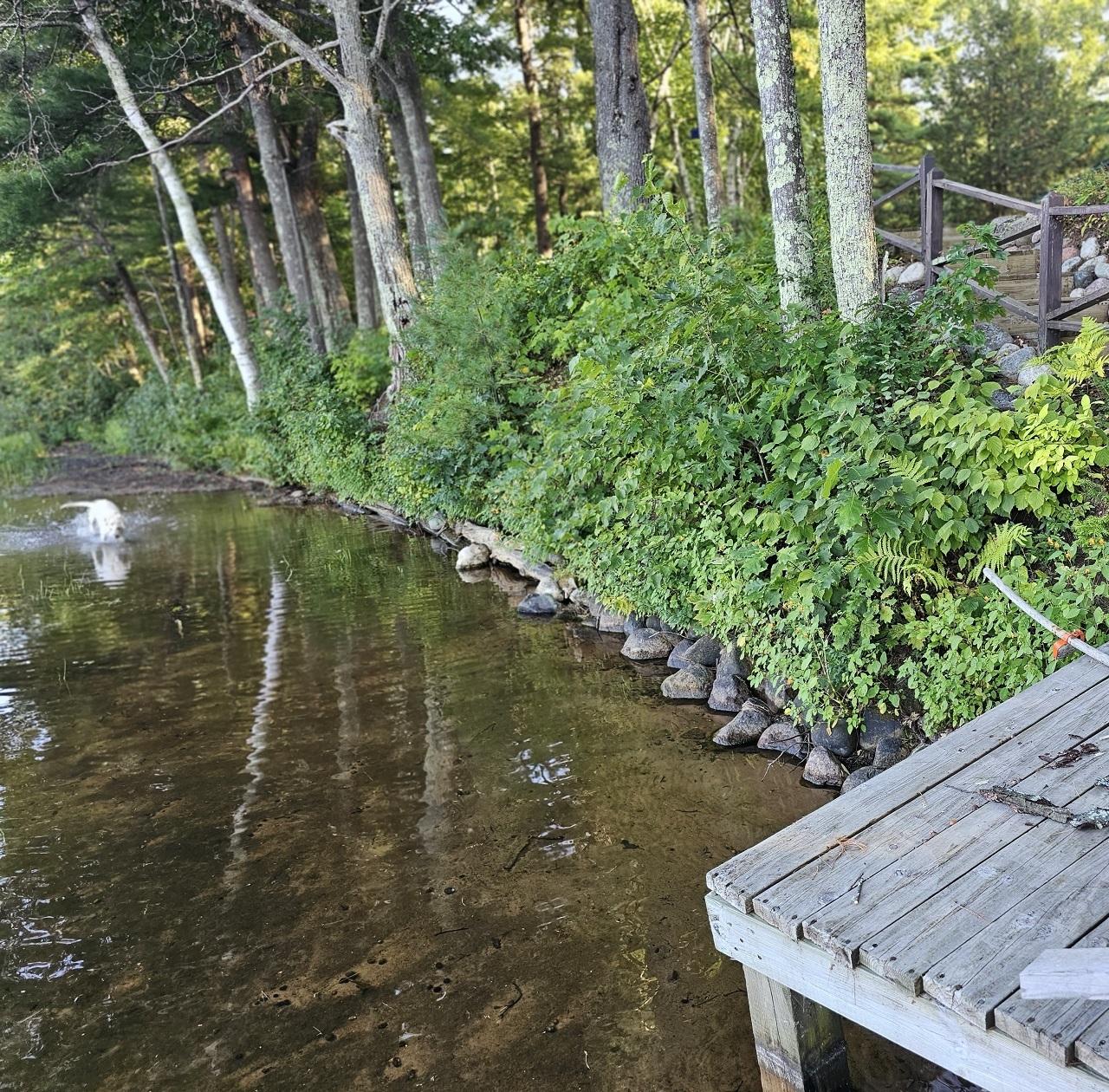 Picture 10 - Moss Lake Property 203633