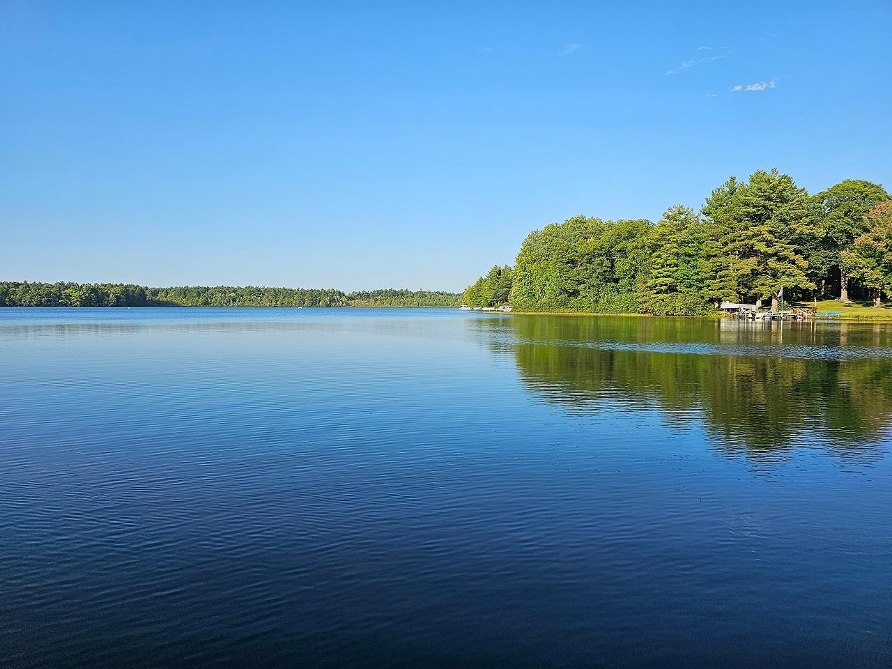 Picture 9 - Moss Lake Property 203633