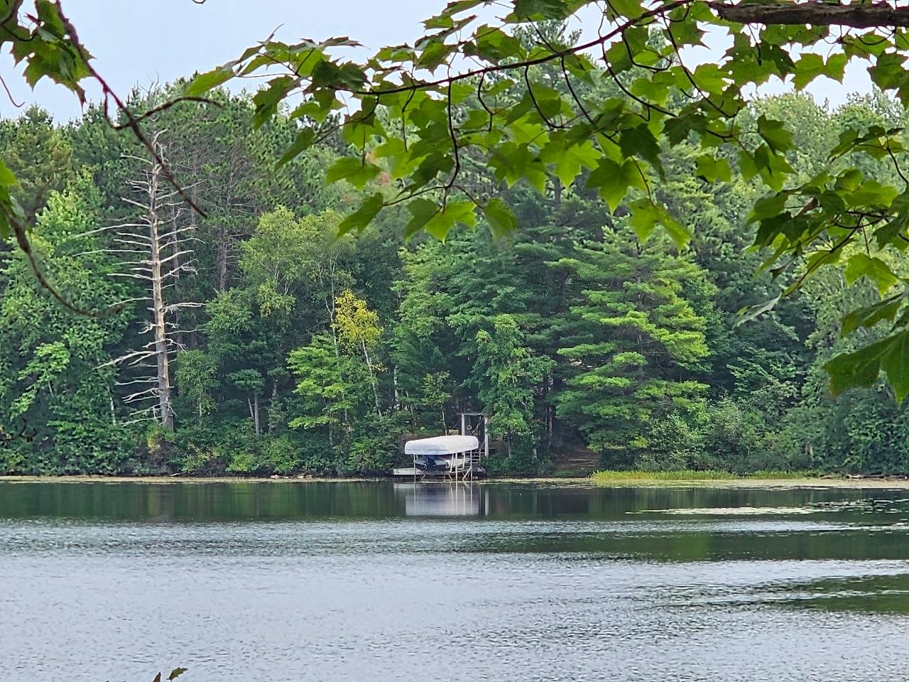 Picture 2 - Moss Lake Property 203633