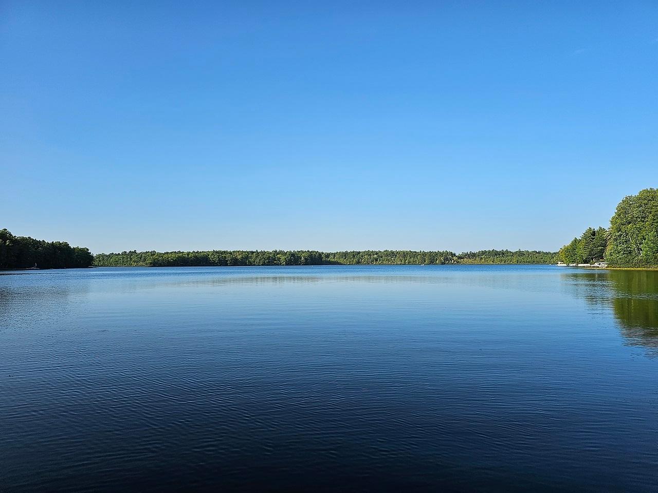 Picture 1 - Moss Lake Property 203633