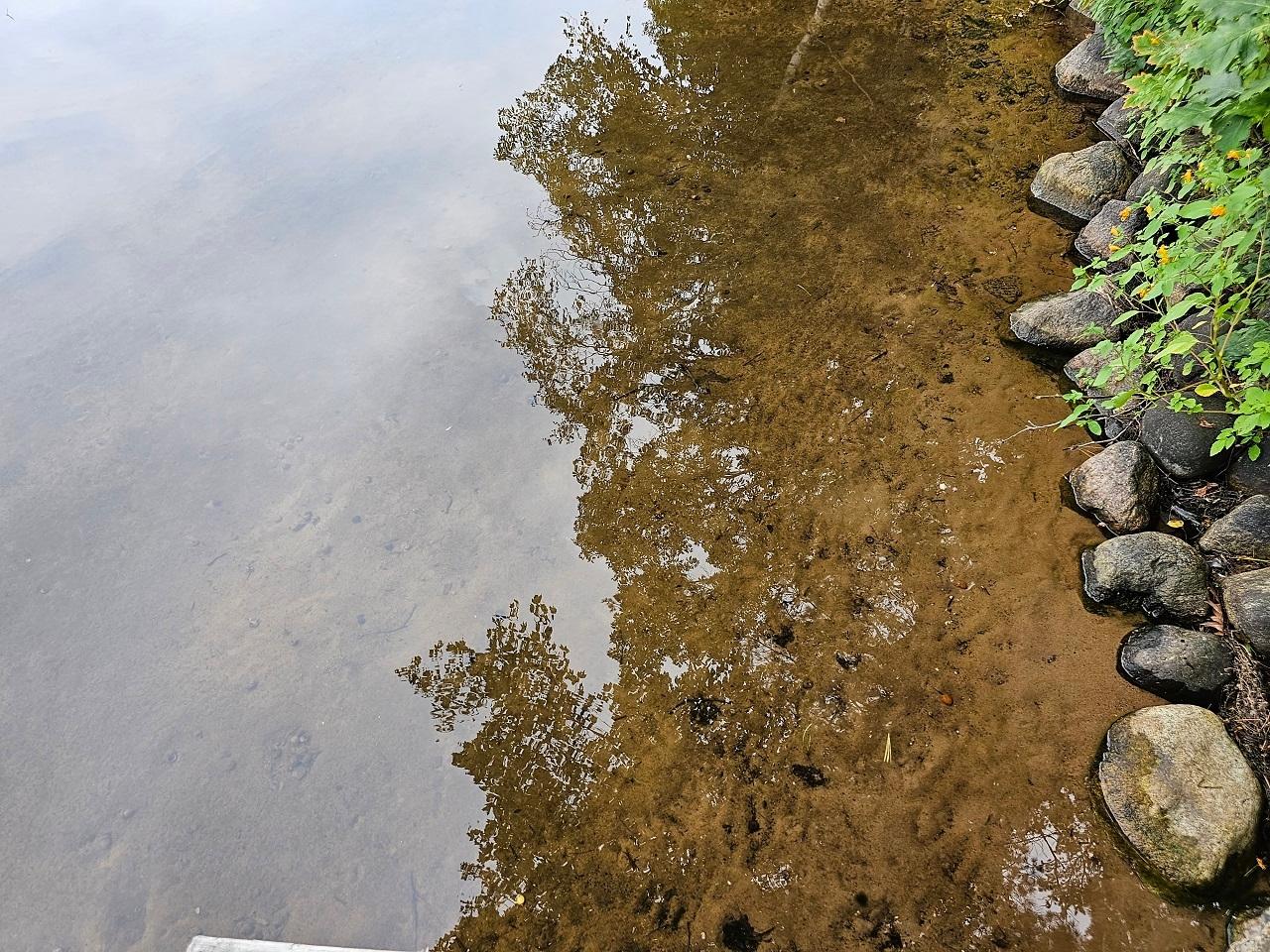 Picture 39 - Moss Lake Property 203633