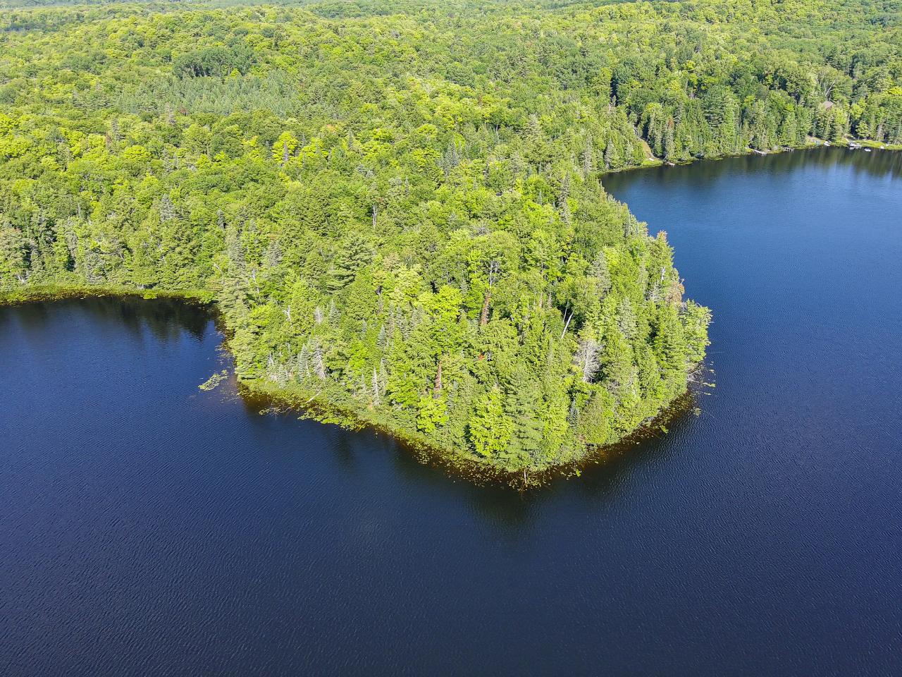 Lake Adelaide Property 3932 Adelaide Dr Photo 1