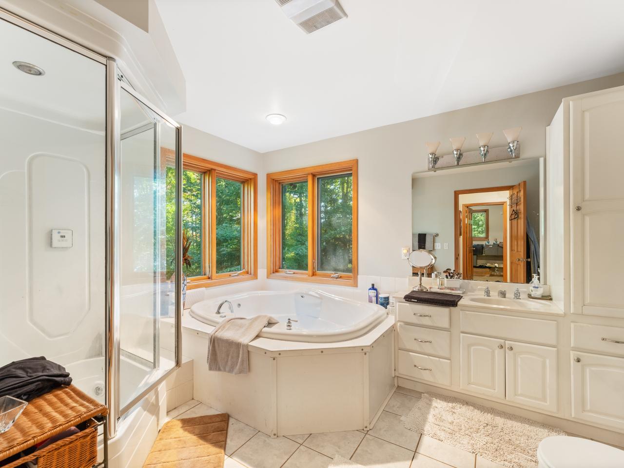 Picture 29 - No Mans Lake Property 203958