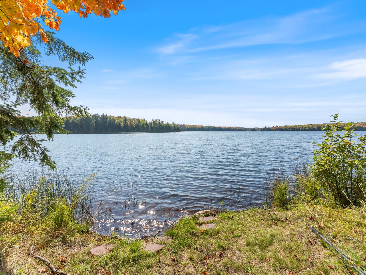 Picture 42 - No Mans Lake Property 203958