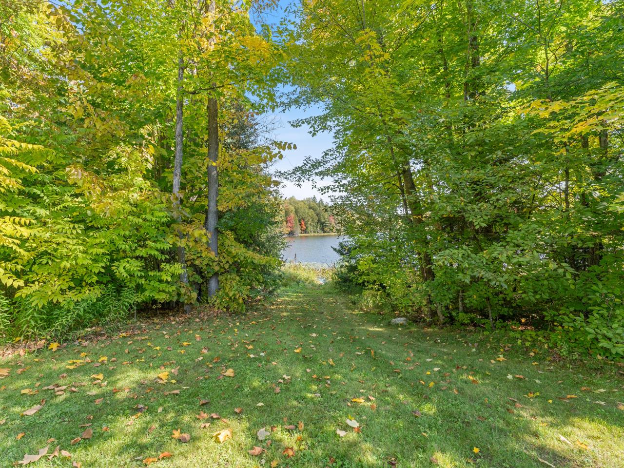 Picture 11 - No Mans Lake Property 203958