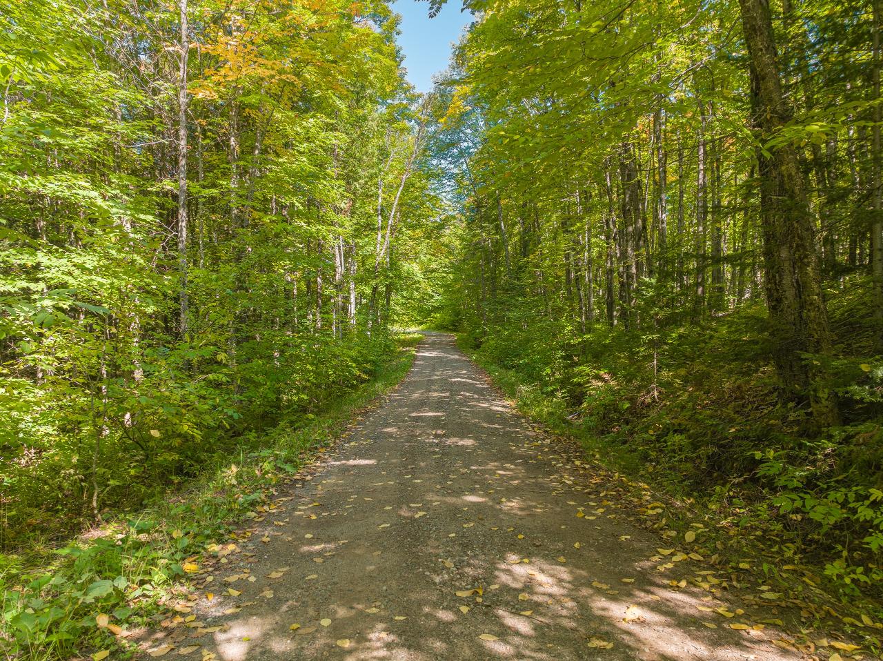 Picture 10 - No Mans Lake Property 203958