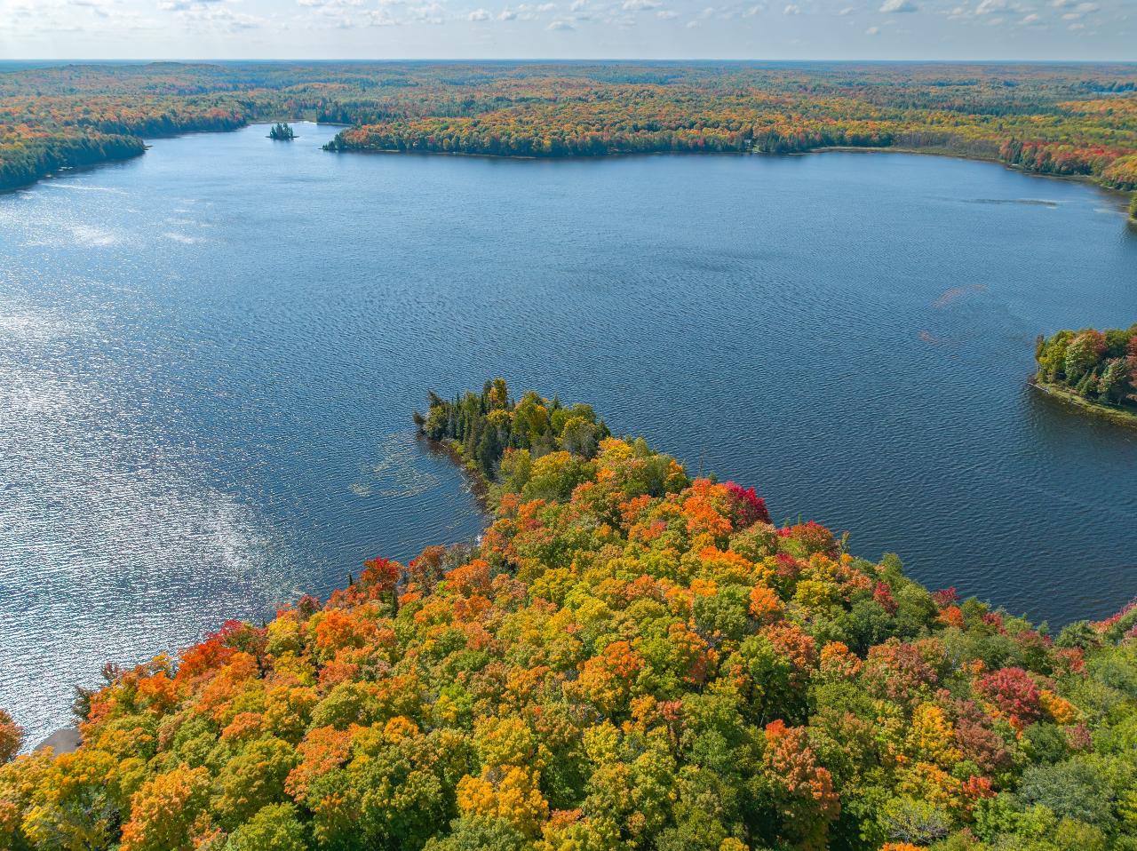 Picture 4 - No Mans Lake Property 203958