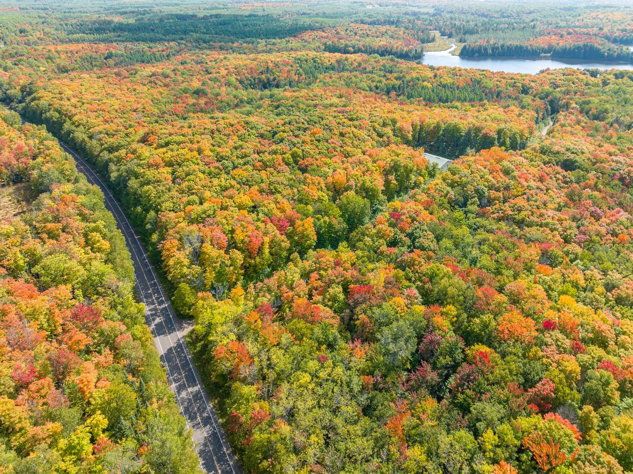 Picture 3 - No Mans Lake Property 203958