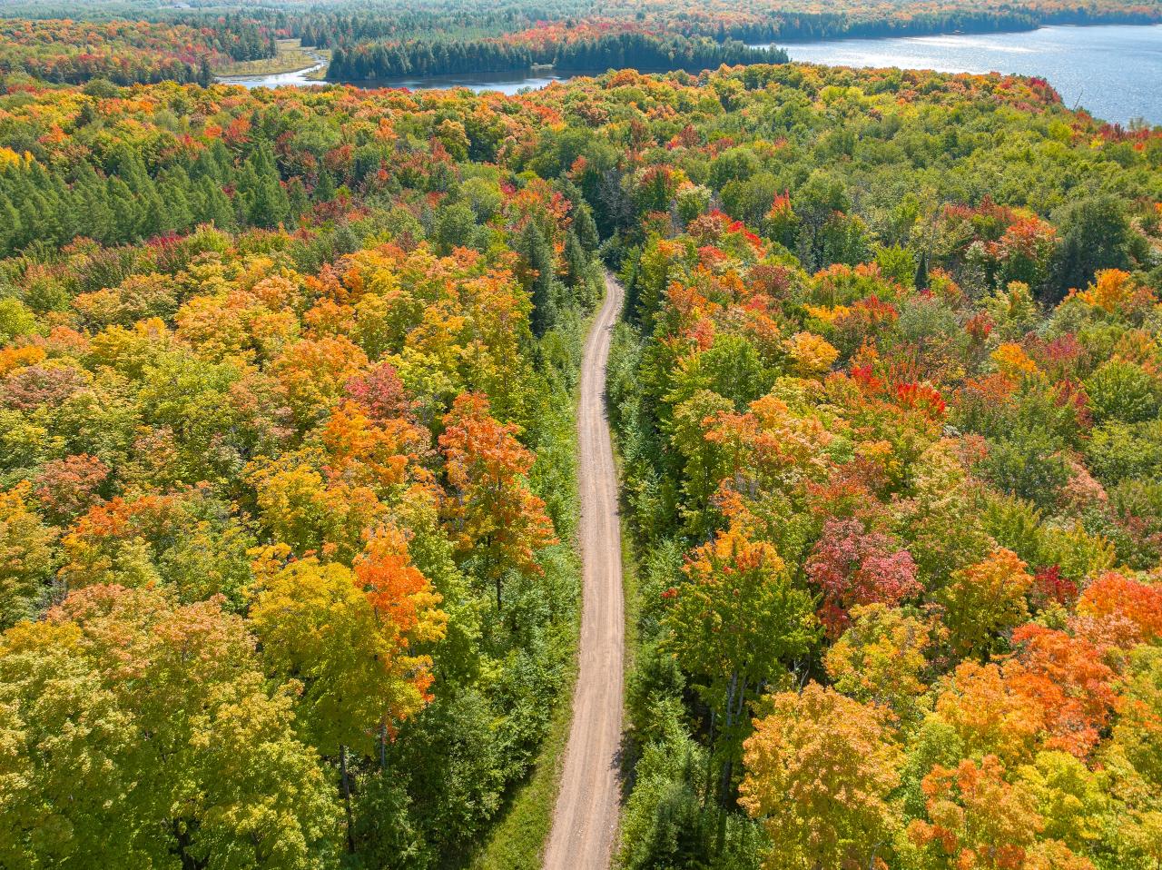 Picture 1 - No Mans Lake Property 203958